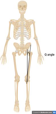 Sex differences in the radiographic and symptomatic prevalence of knee and hip osteoarthritis